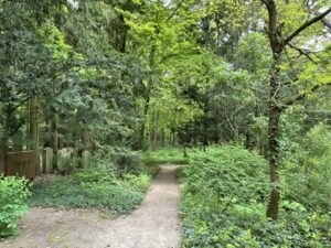 Wunderwelt Südwestkirchhof Stahnsdorf – Bild 23