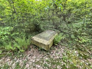 Wunderwelt Südwestkirchhof Stahnsdorf – Bild 26