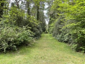 Wunderwelt Südwestkirchhof Stahnsdorf – Bild 56