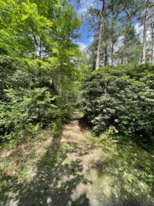 Wunderwelt Südwestkirchhof Stahnsdorf – Bild 60