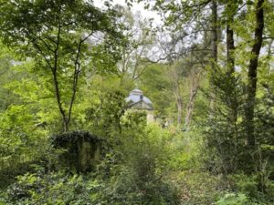 Wunderwelt Südwestkirchhof Stahnsdorf – Bild 65