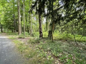 Wunderwelt Südwestkirchhof Stahnsdorf – Bild 68