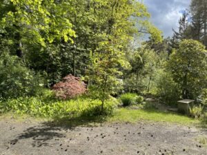 Wunderwelt Südwestkirchhof Stahnsdorf – Bild 75