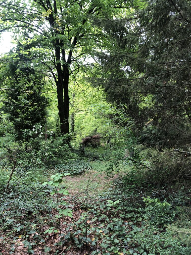 Wunderwelt Friedhof Grunewald-Forst – Bild 22