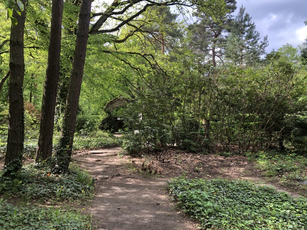 Wunderwelt Friedhof Grunewald-Forst – Bild 26