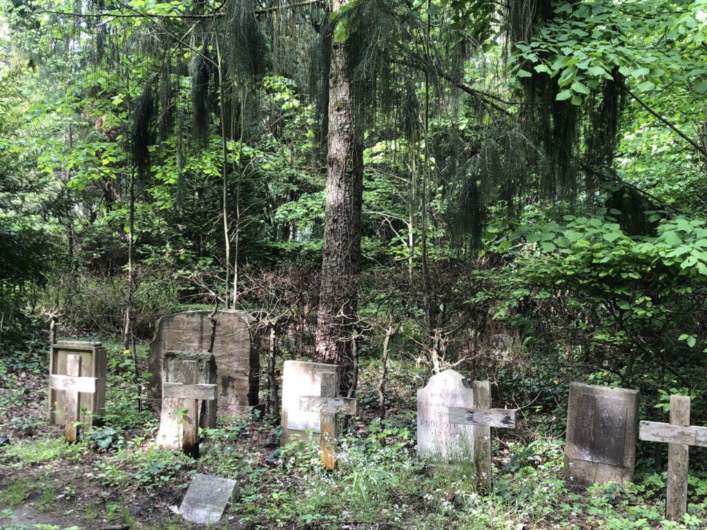 Wunderwelt Friedhof Grunewald-Forst – Bild 16