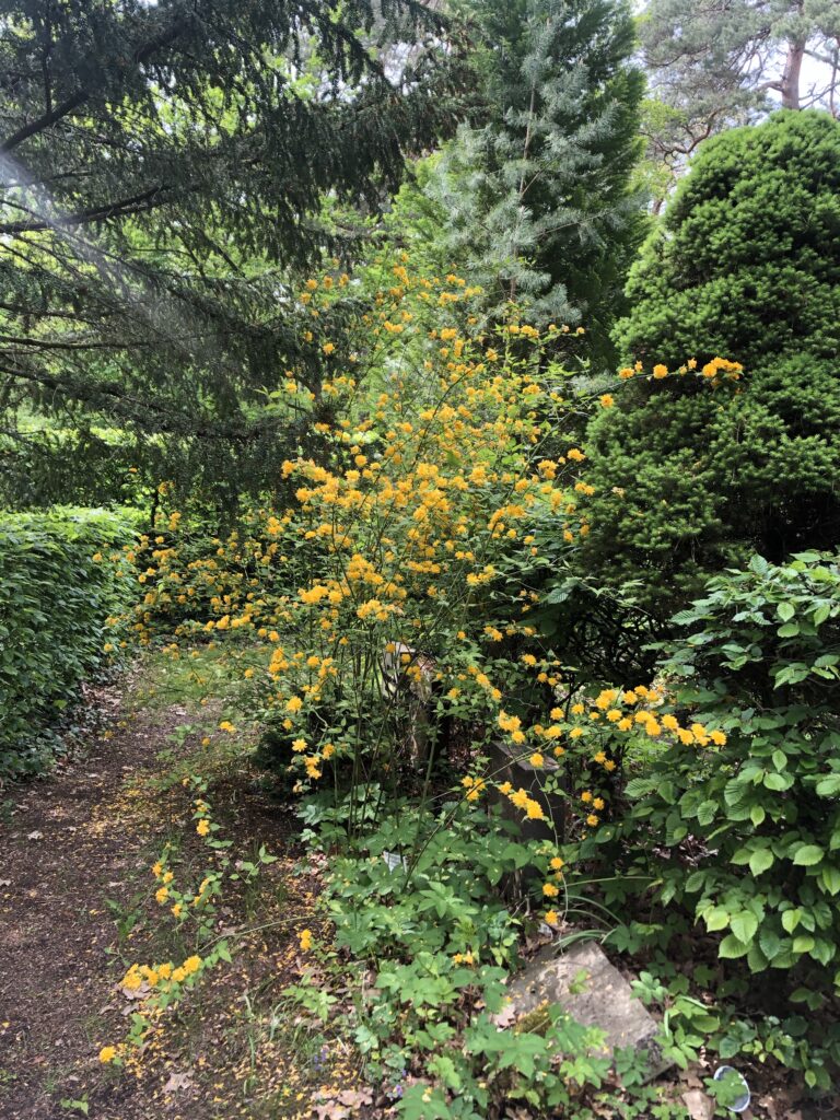 Wunderwelt Friedhof Grunewald-Forst – Bild 24