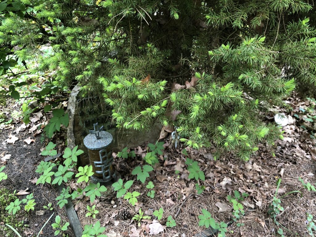 Wunderwelt Friedhof Grunewald-Forst – Bild 27