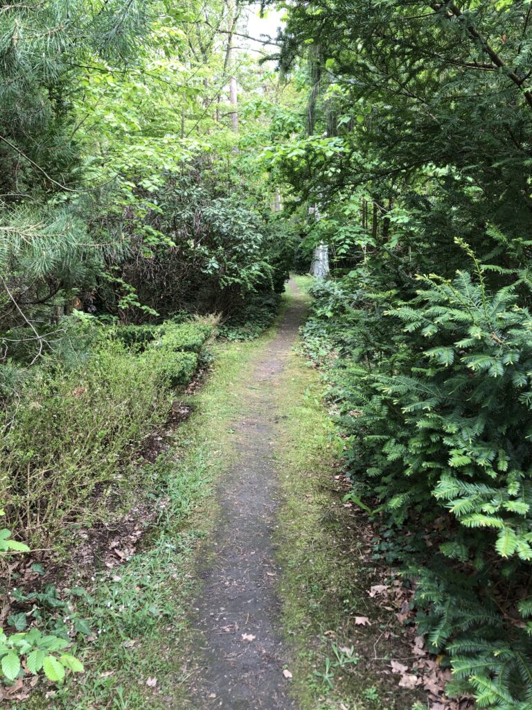 Wunderwelt Friedhof Grunewald-Forst – Bild 31