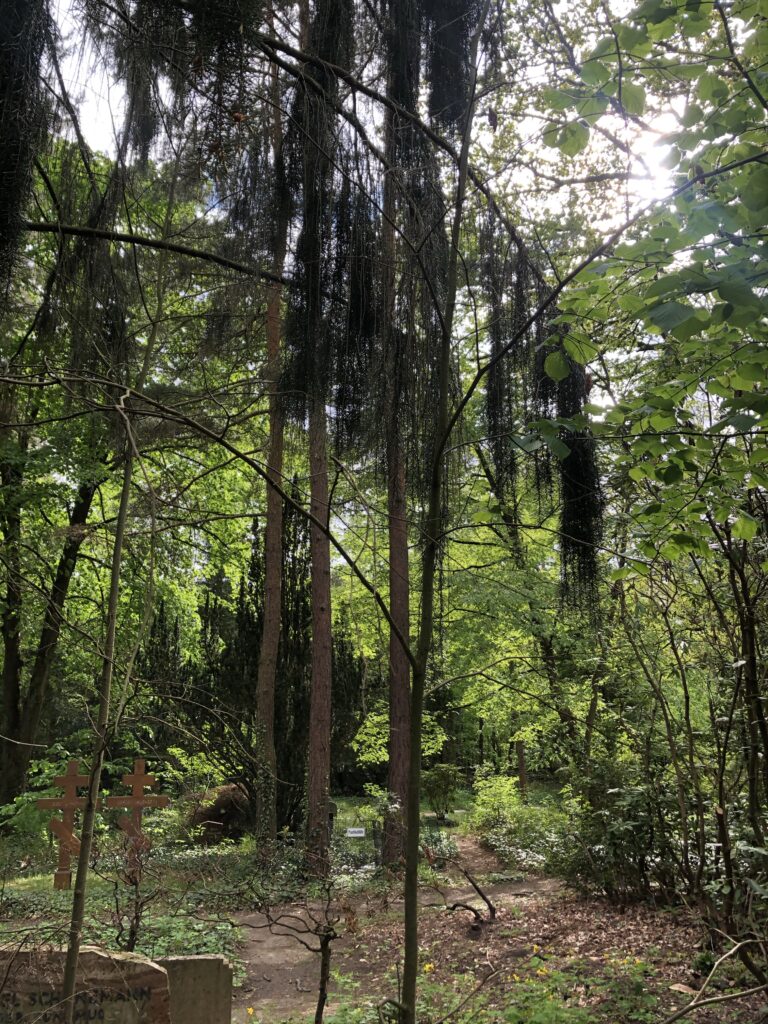 Wunderwelt Friedhof Grunewald-Forst – Bild 35