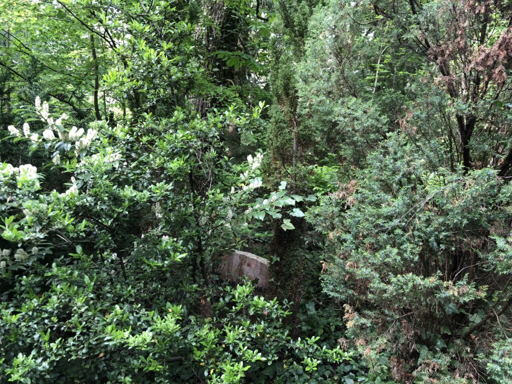 Wunderwelt Friedhof Grunewald-Forst – Bild 36