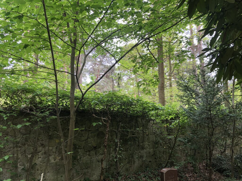 Wunderwelt Friedhof Grunewald-Forst – Bild 28