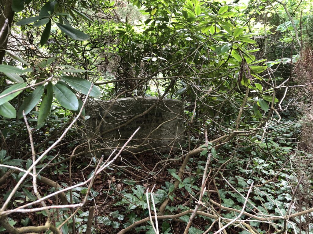 Wunderwelt Friedhof Grunewald-Forst – Bild 37