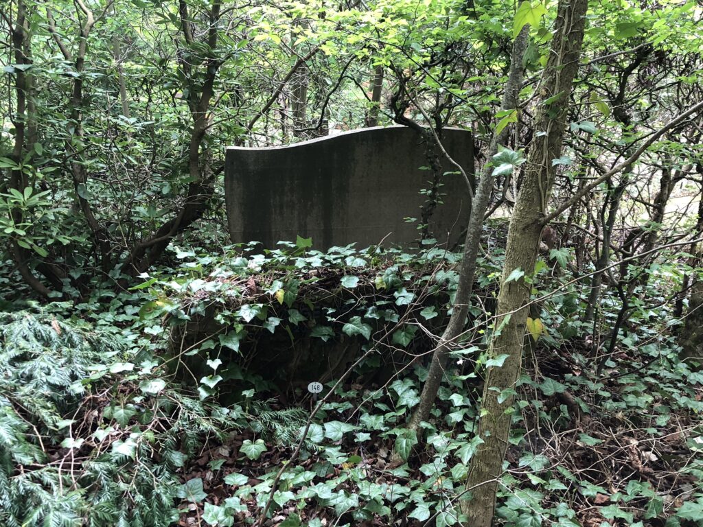 Wunderwelt Friedhof Grunewald-Forst – Bild 41