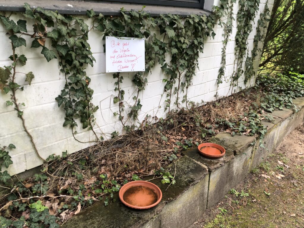 Wunderwelt Friedhof Grunewald-Forst – Bild 39