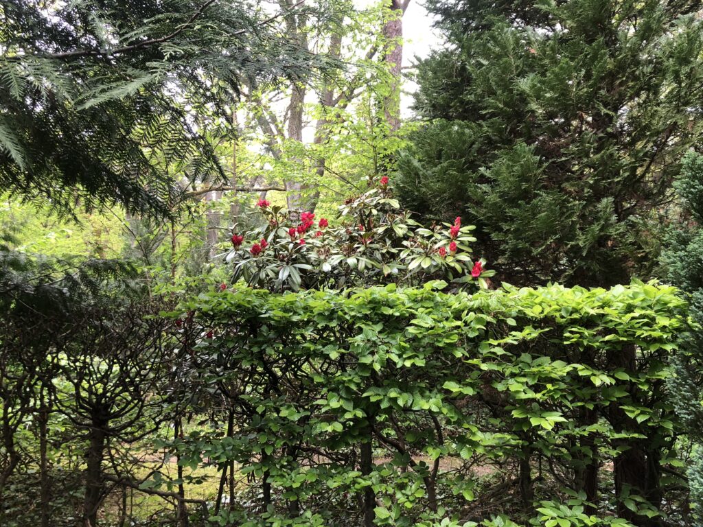 Wunderwelt Friedhof Grunewald-Forst – Bild 42