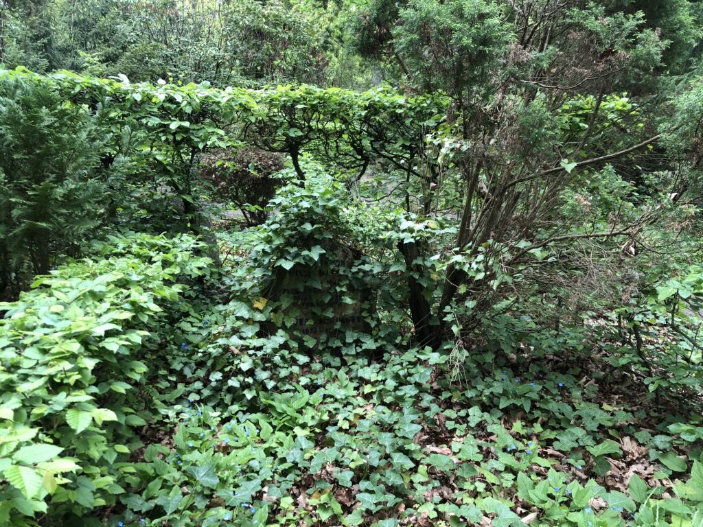 Wunderwelt Friedhof Grunewald-Forst – Bild 45