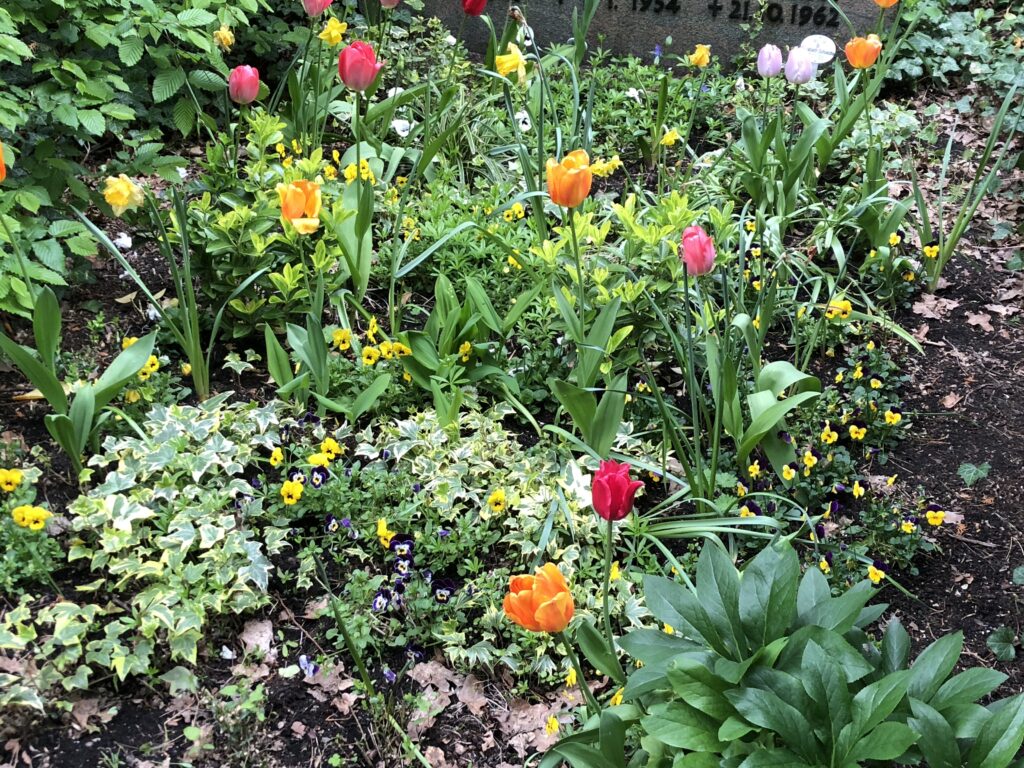 Wunderwelt Friedhof Grunewald-Forst – Bild 53