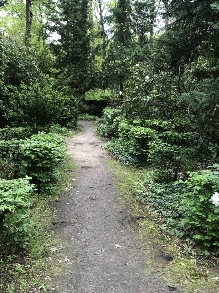 Wunderwelt Friedhof Grunewald-Forst – Bild 50