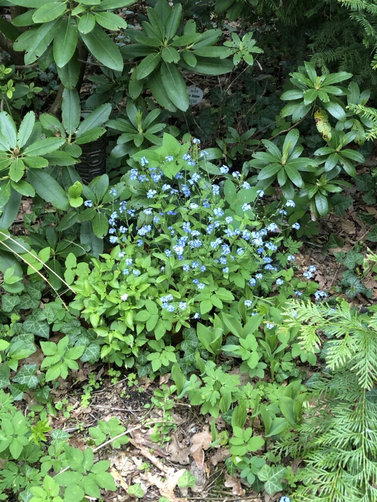 Wunderwelt Friedhof Grunewald-Forst – Bild 60