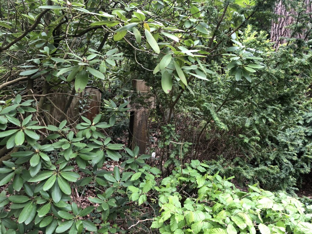 Wunderwelt Friedhof Grunewald-Forst – Bild 65