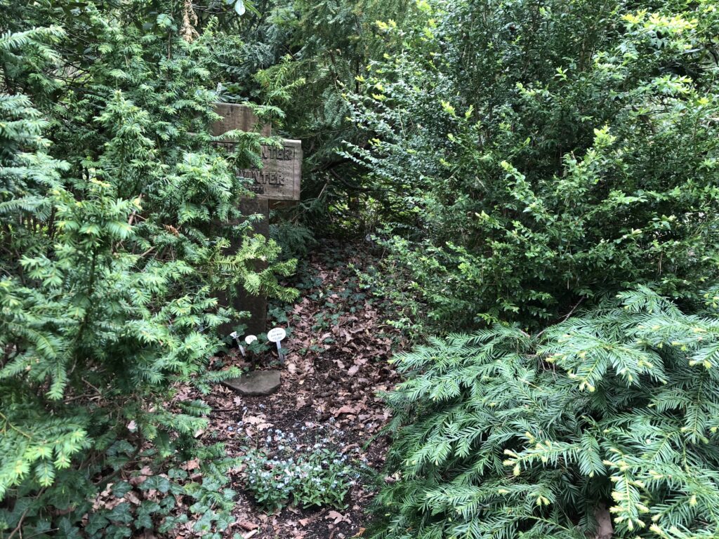 Wunderwelt Friedhof Grunewald-Forst – Bild 67