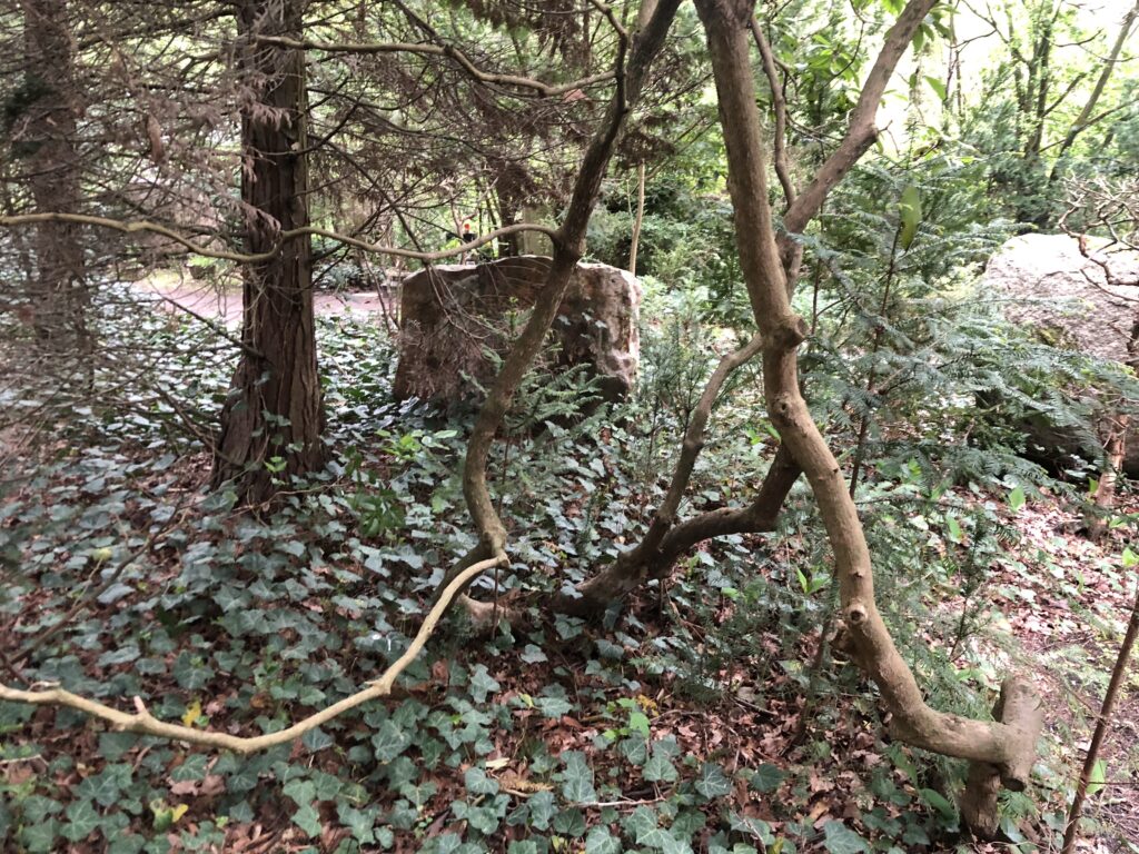 Wunderwelt Friedhof Grunewald-Forst – Bild 66