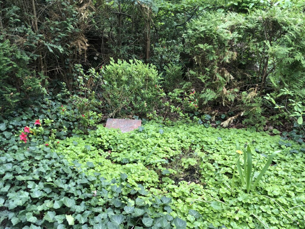 Wunderwelt Friedhof Grunewald-Forst – Bild 56