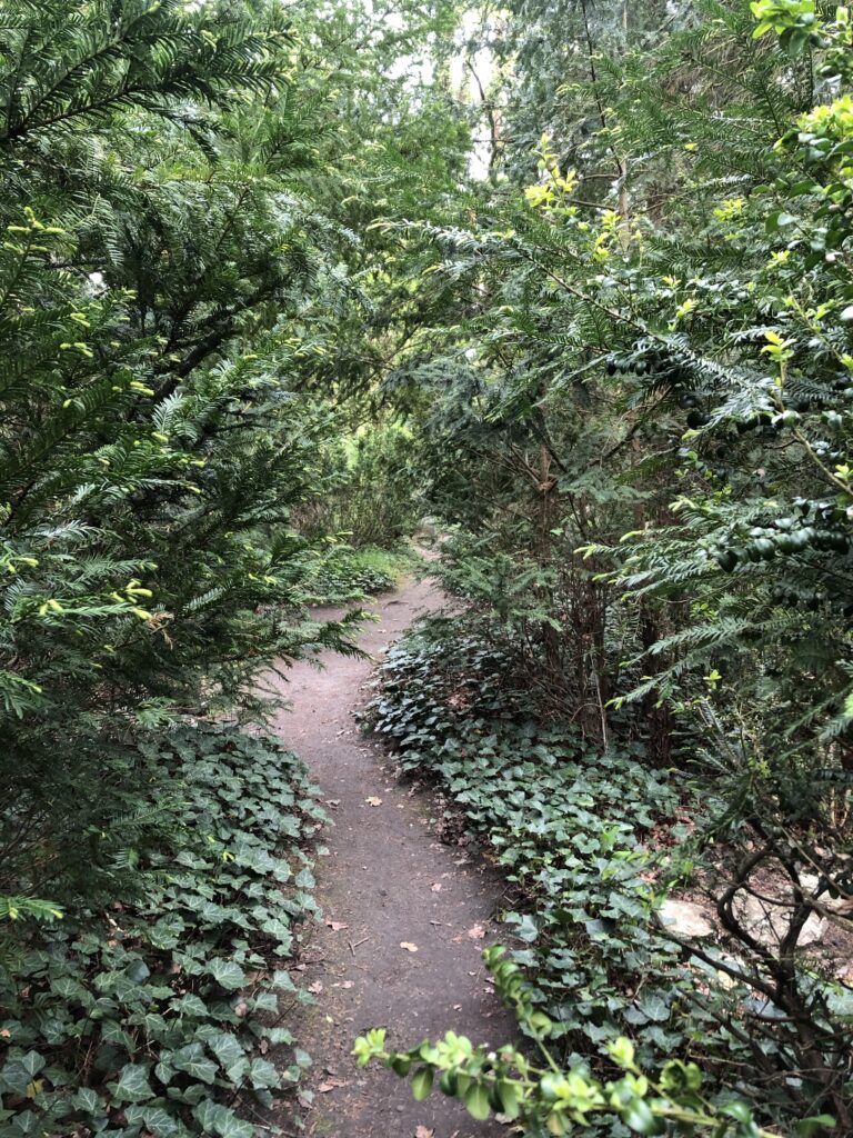Wunderwelt Friedhof Grunewald-Forst – Bild 64
