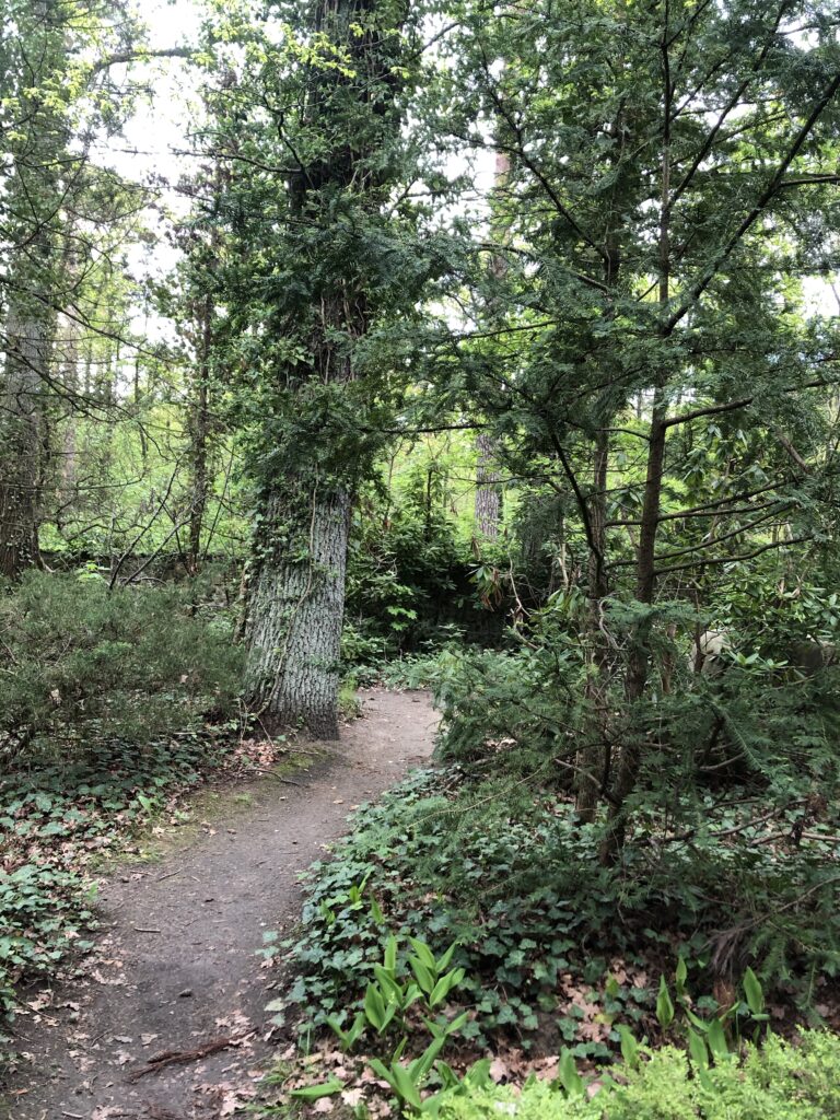 Wunderwelt Friedhof Grunewald-Forst – Bild 72