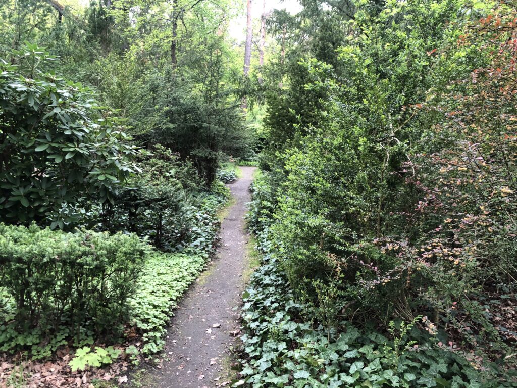 Wunderwelt Friedhof Grunewald-Forst – Bild 71
