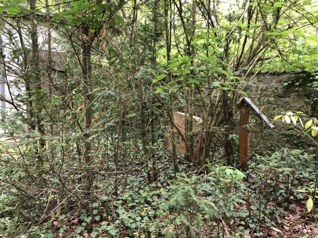 Wunderwelt Friedhof Grunewald-Forst – Bild 74