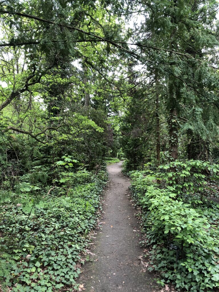 Wunderwelt Friedhof Grunewald-Forst – Bild 68