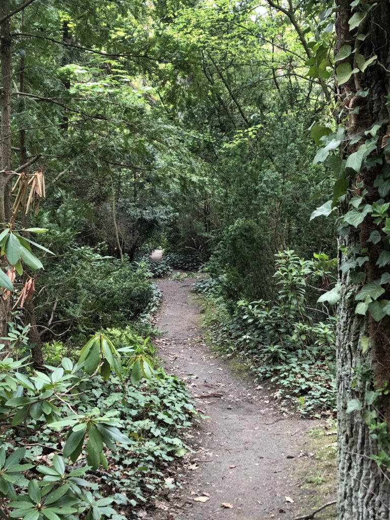 Wunderwelt Friedhof Grunewald-Forst – Bild 75