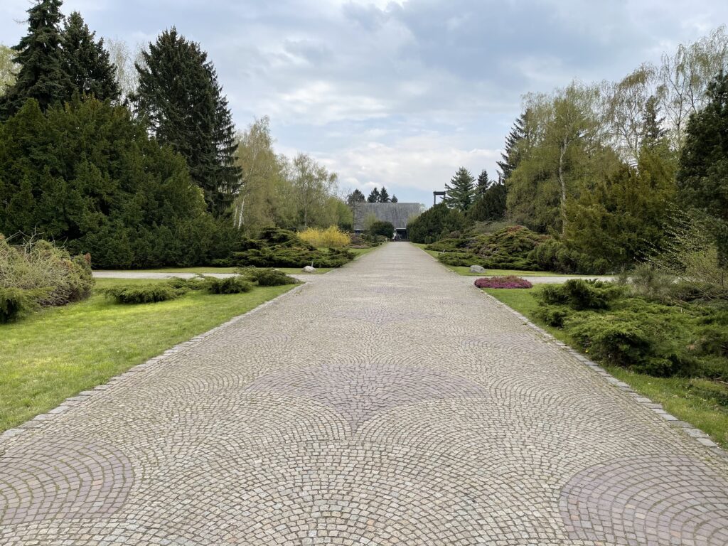 Wunderwelt Heidefriedhof – Bild 3