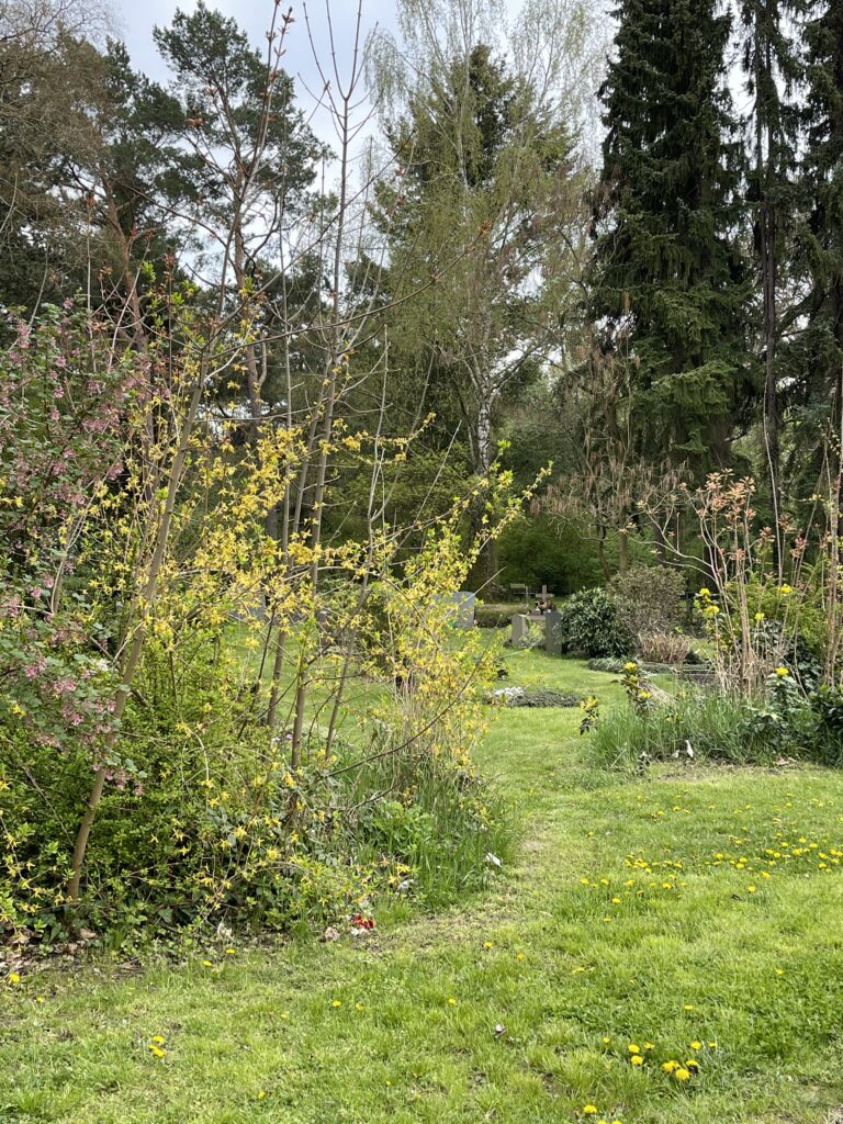 Wunderwelt Heidefriedhof – Bild 4