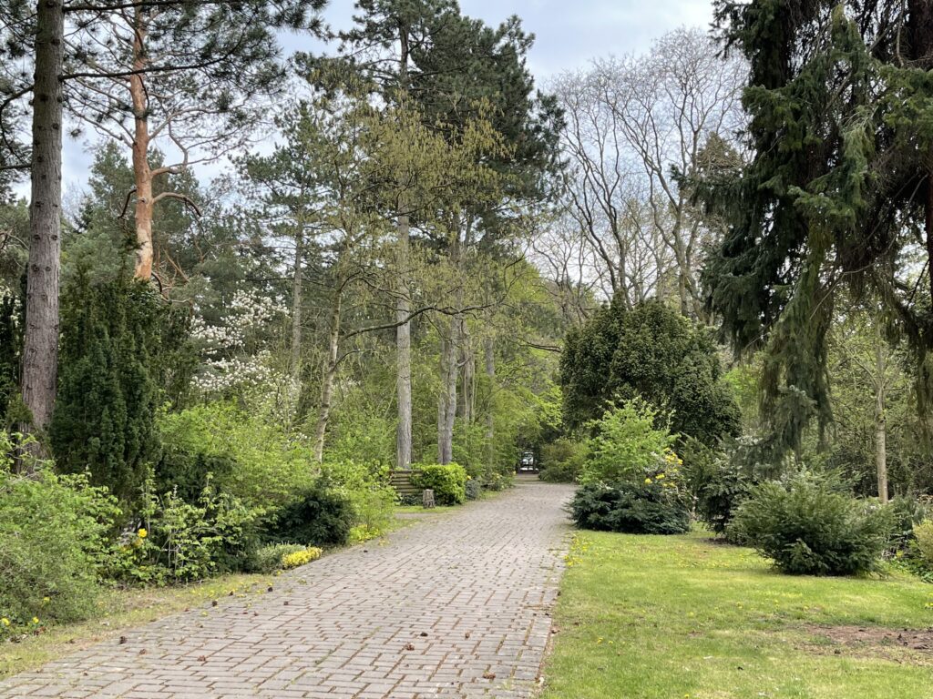 Wunderwelt Heidefriedhof – Bild 6