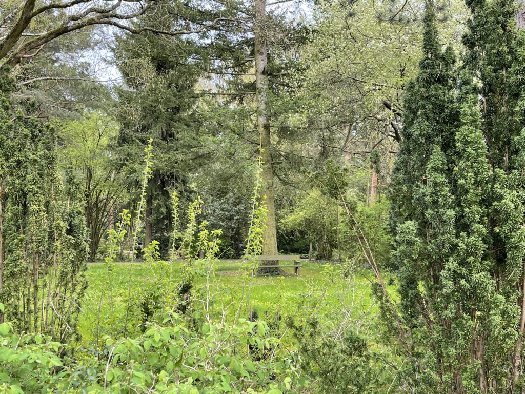 Wunderwelt Heidefriedhof – Bild 7