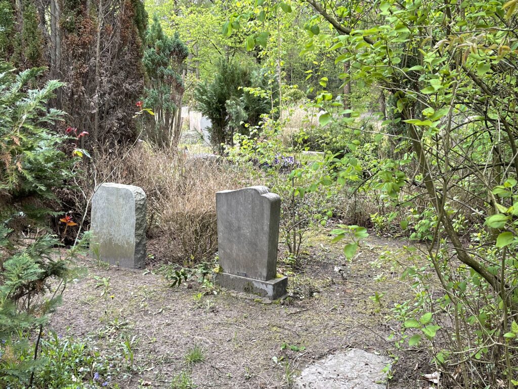 Wunderwelt Heidefriedhof – Bild 8