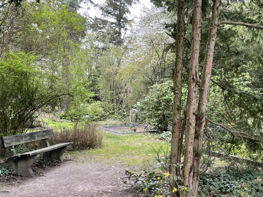 Wunderwelt Heidefriedhof – Bild 10