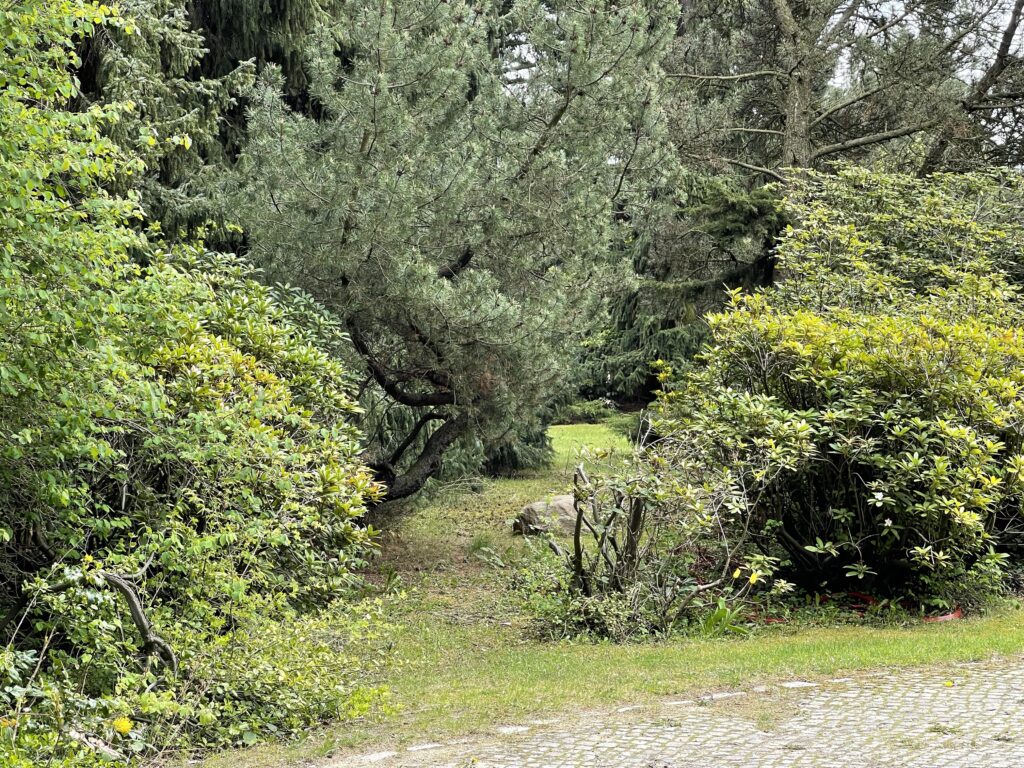 Wunderwelt Heidefriedhof – Bild 11