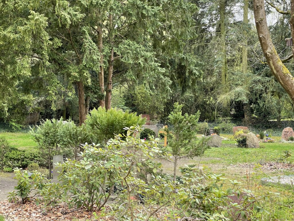 Wunderwelt Heidefriedhof – Bild 19