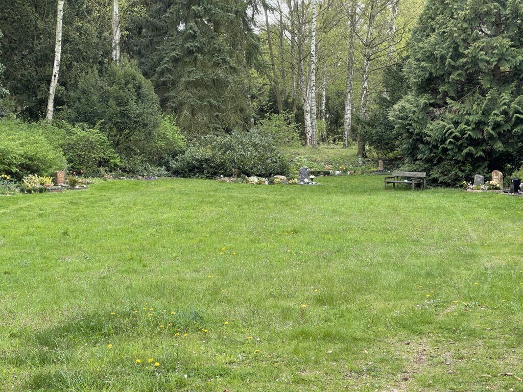 Wunderwelt Heidefriedhof – Bild 20