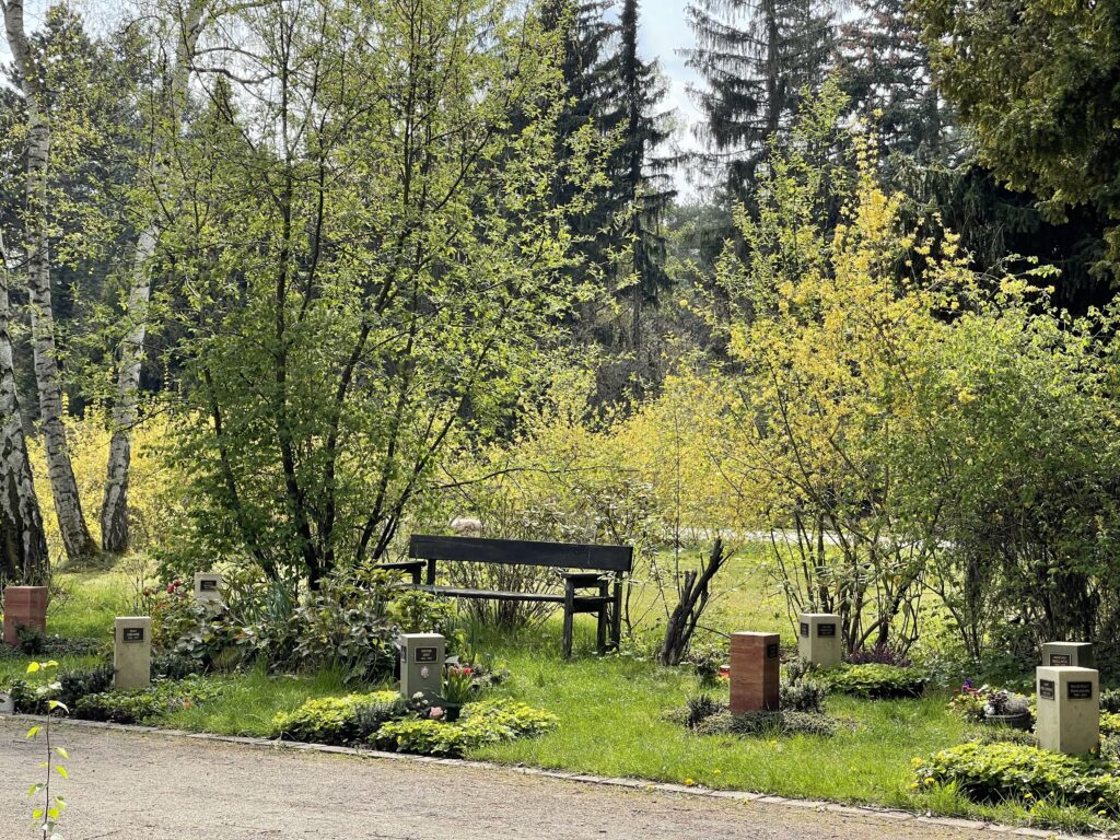 Wunderwelt Heidefriedhof – Bild 24