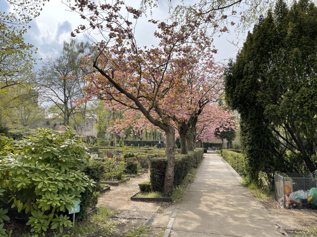 Wunderwelt Sankt Matthäus Kirchhof – Bild 5