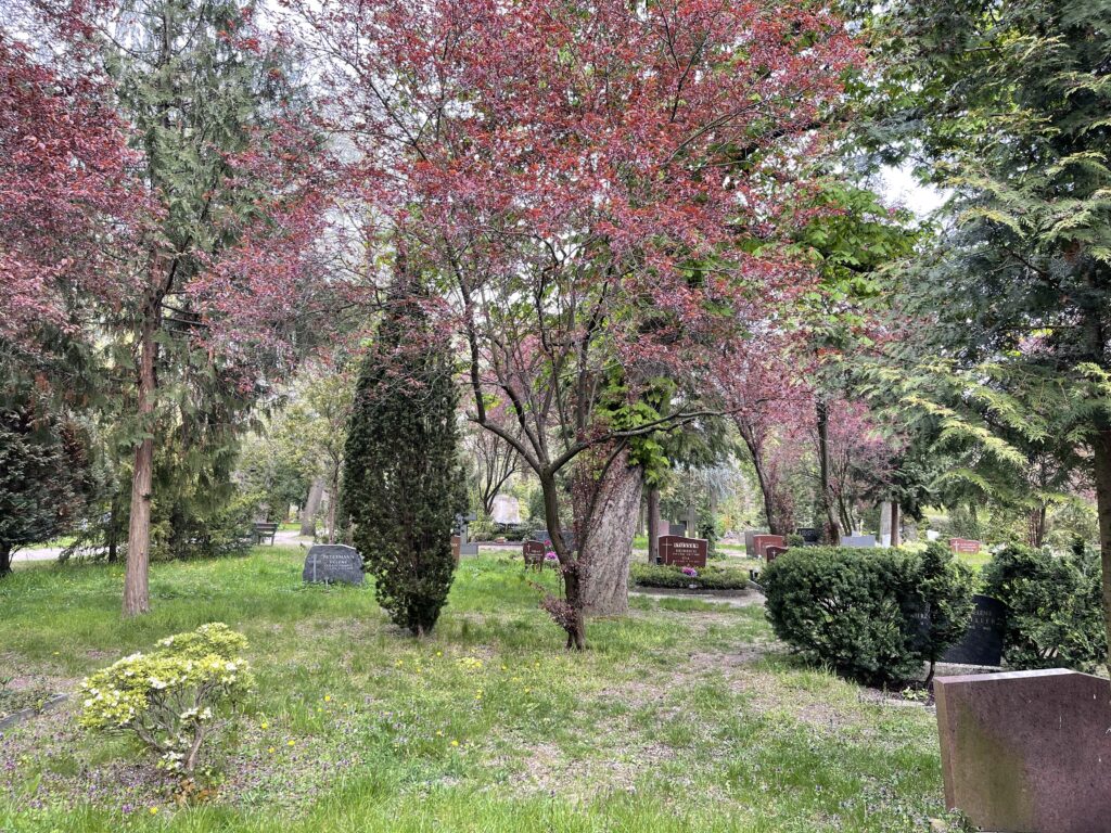 Wunderwelt Friedhof der St. Michael Gemeinde – Bild 6