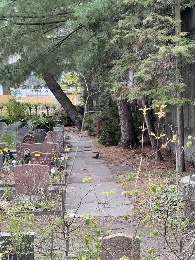 Wunderwelt Friedhof der St. Michael Gemeinde – Bild 7
