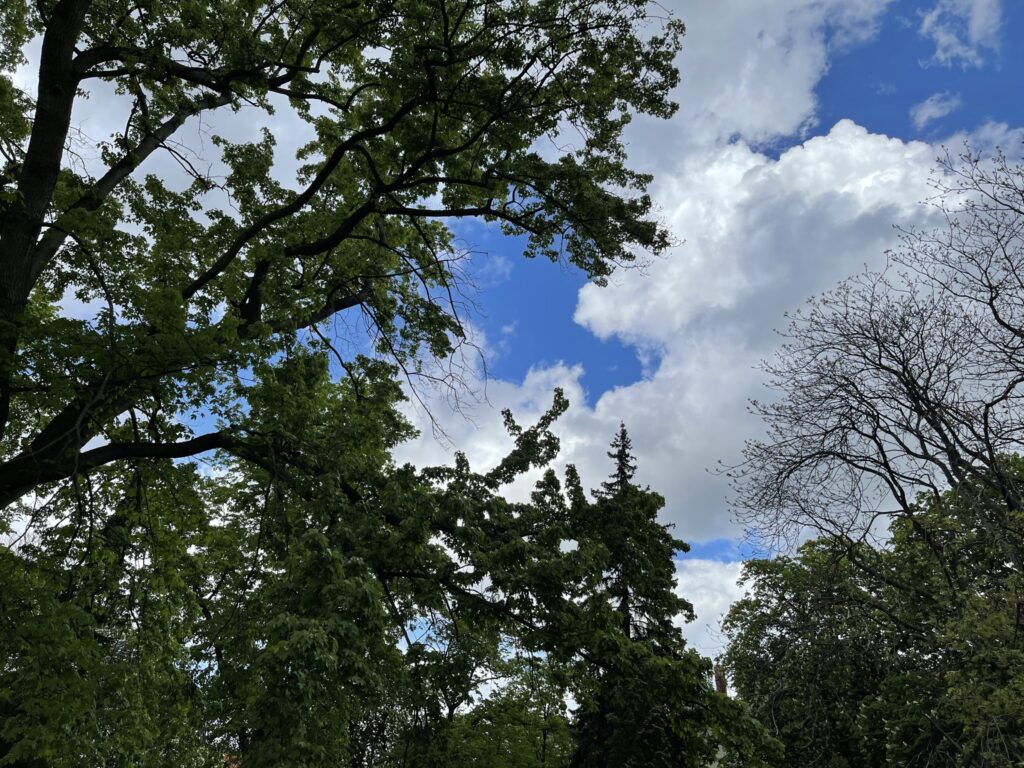 Wunderwelt Alter Friedhof St. Jacobi – Bild 20