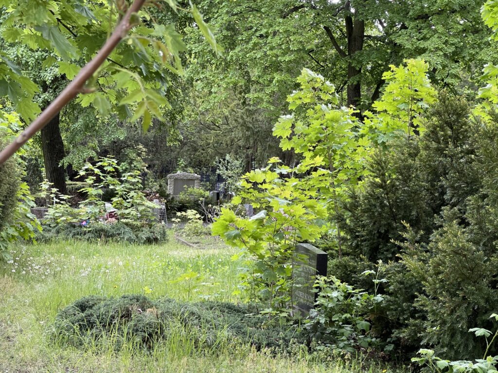Wunderwelt Alter Friedhof St. Jacobi – Bild 22