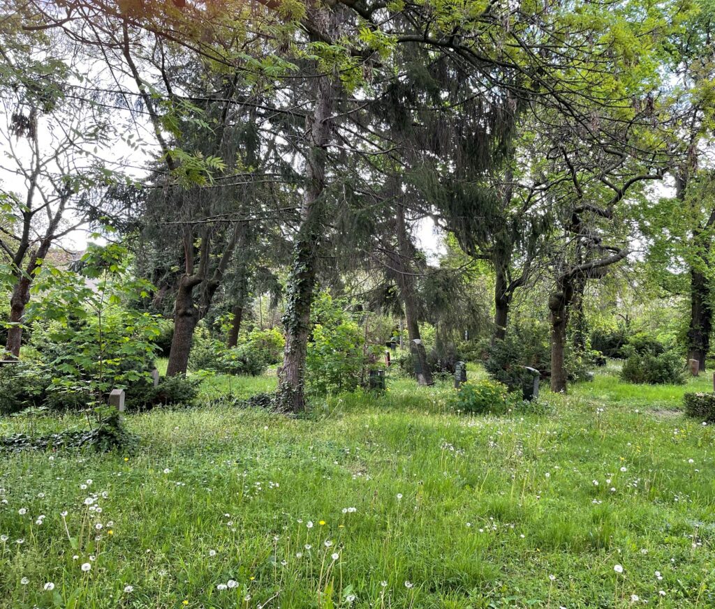 Wunderwelt Alter Friedhof St. Jacobi – Bild 26